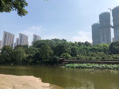 -龙头寺公园