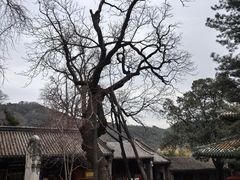 -潭柘寺景区