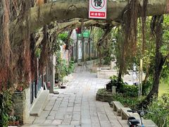 -小洲村