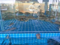 水产区-必点蒸汽海鲜(止锚湾店)