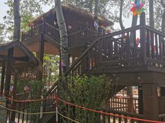 -南宫五洲植物乐园