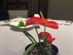 -花锦堂·隐庐