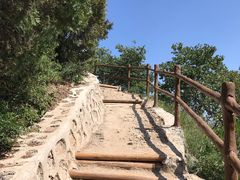 -阳台山自然风景区