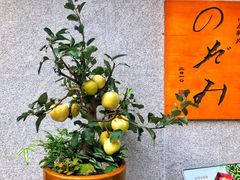 -希望日本料理(保利香槟花园店)