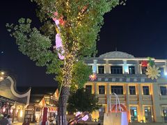 -洋湖国家湿地公园