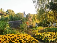 -梁鸿国家湿地公园