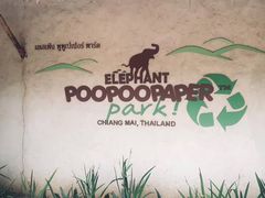 -大象粑粑造纸公园