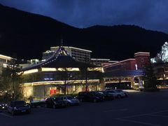 -九寨沟天源豪生度假酒店-豪庭轩中餐厅