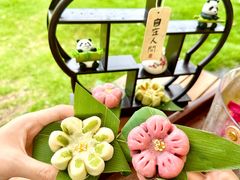 -云栖山谷野奢营地