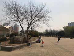 -济南国际园博园