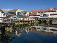 -Steveston Pizza Company (Richmond)