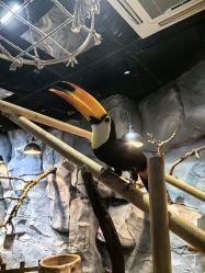 -Zoolung Zoolung动物主题公园(海信广场店)