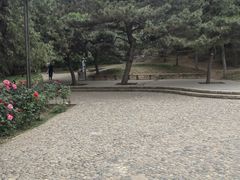 -元大都城垣遗址公园