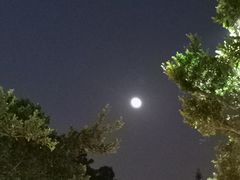 -珠海拱北口岸