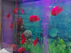 -雅悦齿科(顾村公园店)