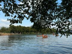 -西湖外事游船(花港观鱼码头)