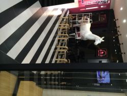 iphone_upload_pic-DOS HOP潮上舞蹈