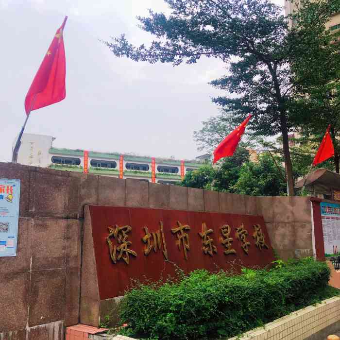 深圳东星小学图片