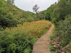 -蟠龙山长城景区