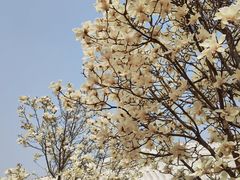 -北京园博大酒店