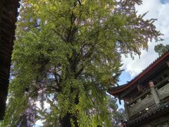 -金堂县云顶石城风景区