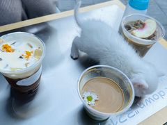 -HUGS coffee(东区店)
