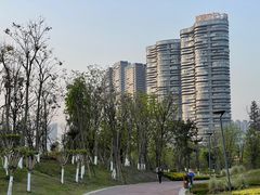 -桂溪生态公园