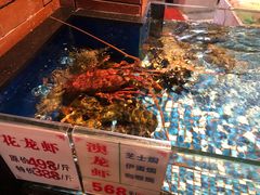 水产区-广东道至正餐厅(区庄店)