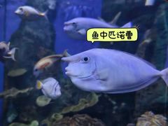 -左海海底世界