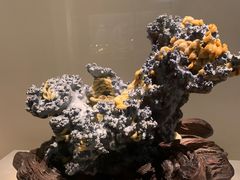 -杭州工艺美术博物馆