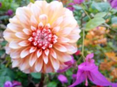 -一品烧农庄·佛山本地特色菜