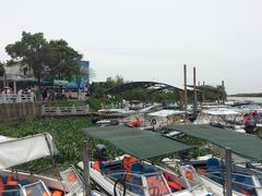 -洪湖生态旅游区