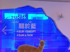 -Blue Concept Cafe&Farm·關於藍