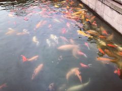 景点-荆川公园