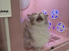 -乐琪宠物医院·犬猫专科·骨外科·急重症