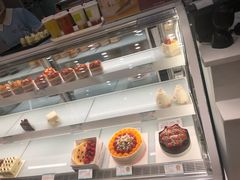 -蒲公英(五里店)