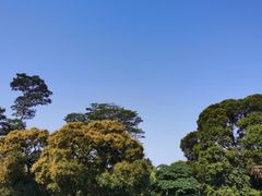 -华南国家植物园-售票处