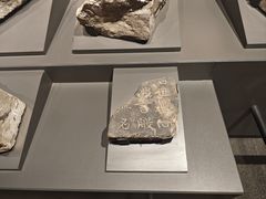 -兴隆文化园景区-兖州博物馆