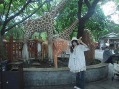 -晓港公园