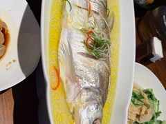 -苏帮袁Sue Cuisine(将台店)