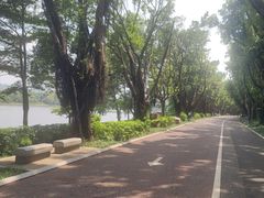 -南宁南湖公园
