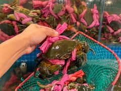 -辣螃铠盆盆蟹大排档(总店)