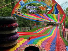 -西霞口神雕山野生动物世界
