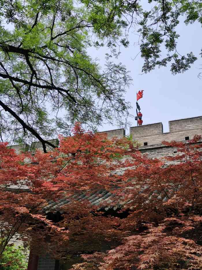 环城西苑公园-"护城河边的公园融于城隐于市的感觉 感.