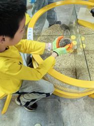 -神奇动物撸宠馆·羊驼·小浣熊·异宠(豫园店)