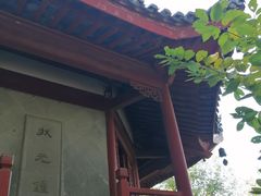 -汇龙潭