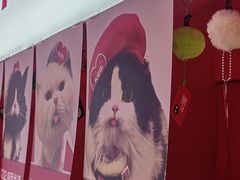 -K22.酸奶草莓(烟台芝罘店)