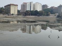 -龙舟池