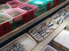 -老蒲田·渔乡楼