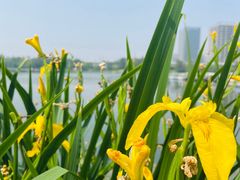 -美兰湖景区